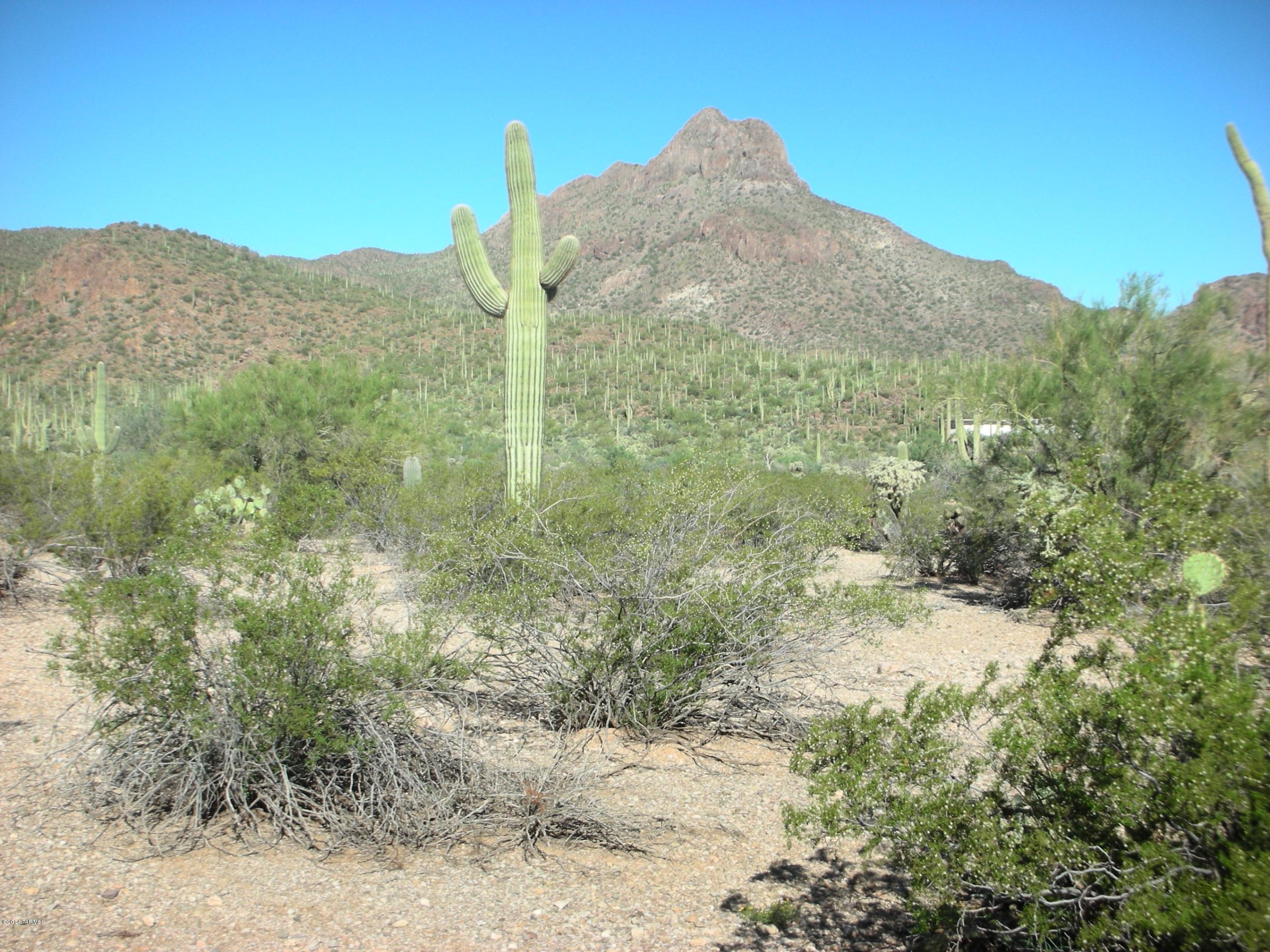 7602 West Ina Road Tucson, AZ 85743 - Photo 6 of 22 Gallery Image 6