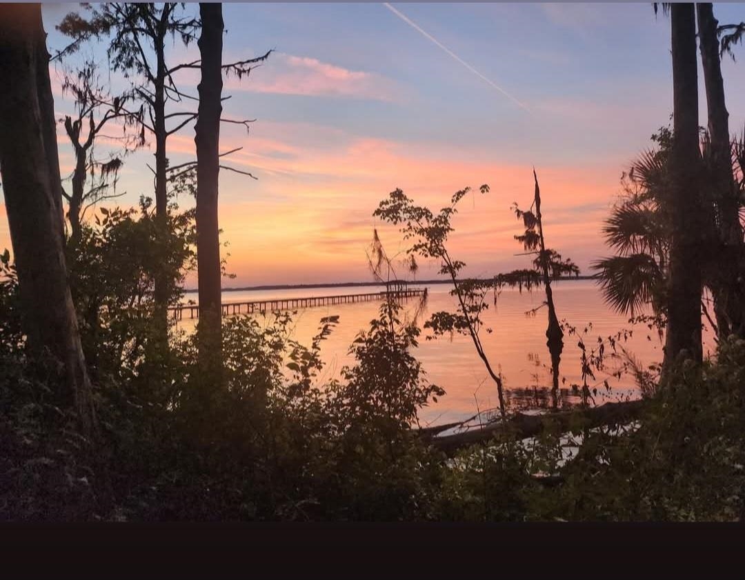11511 Mandarin Road Jacksonville, FL 32223 - Photo 40 of 41 View of local wilderness featuring a nearby St. Johns River.