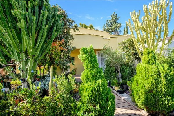 a view of a garden from a garden
