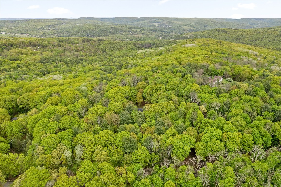 140 Noyes Road Vestal, NY 13850 - Photo 38 of 38 Gallery Image 38