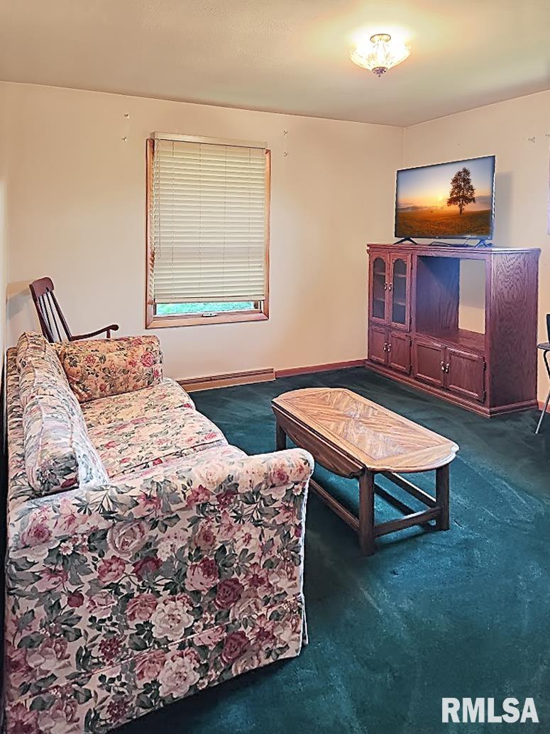 304 North 3rd Street Wyoming, IL 61491 - Photo 26 of 42