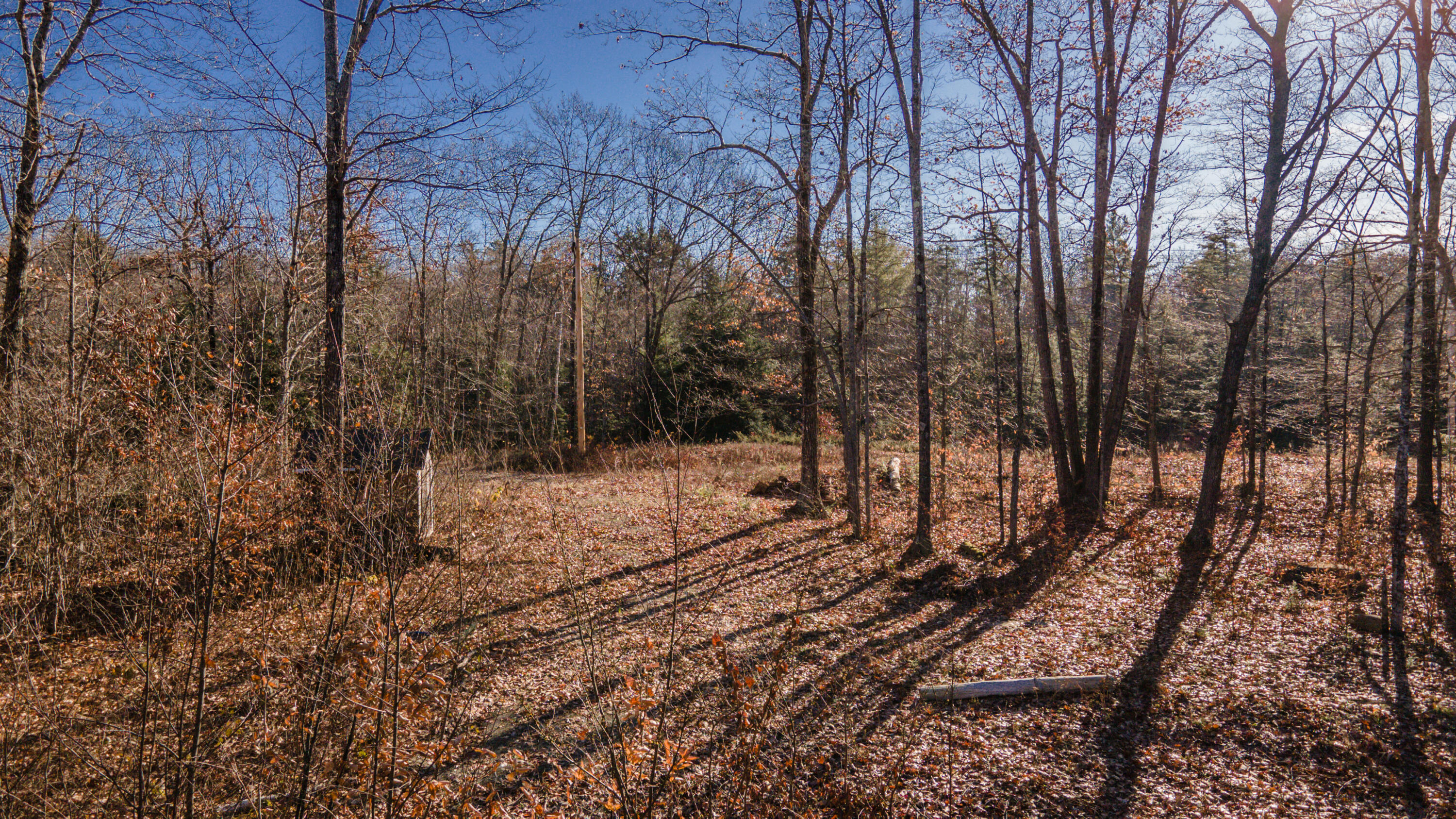 17 Terrapin Trail Sidney, ME 04330 - Photo 11 of 18 Land11