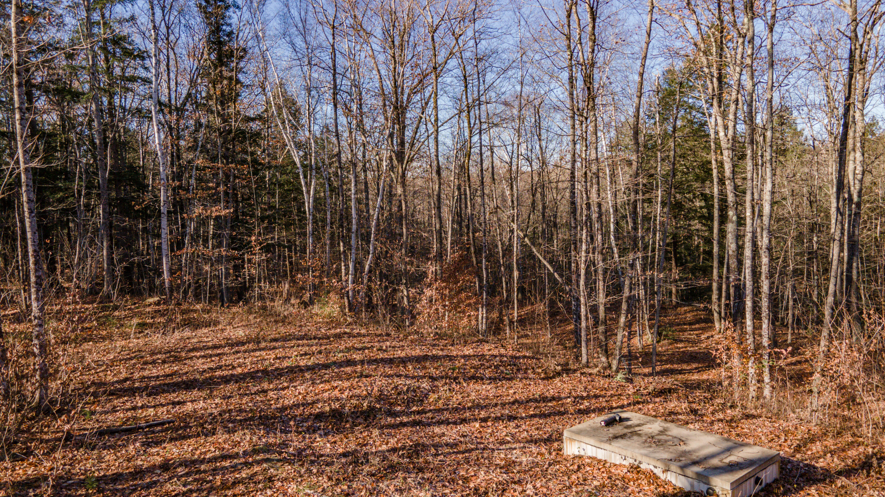 17 Terrapin Trail Sidney, ME 04330 - Photo 12 of 18 Land13