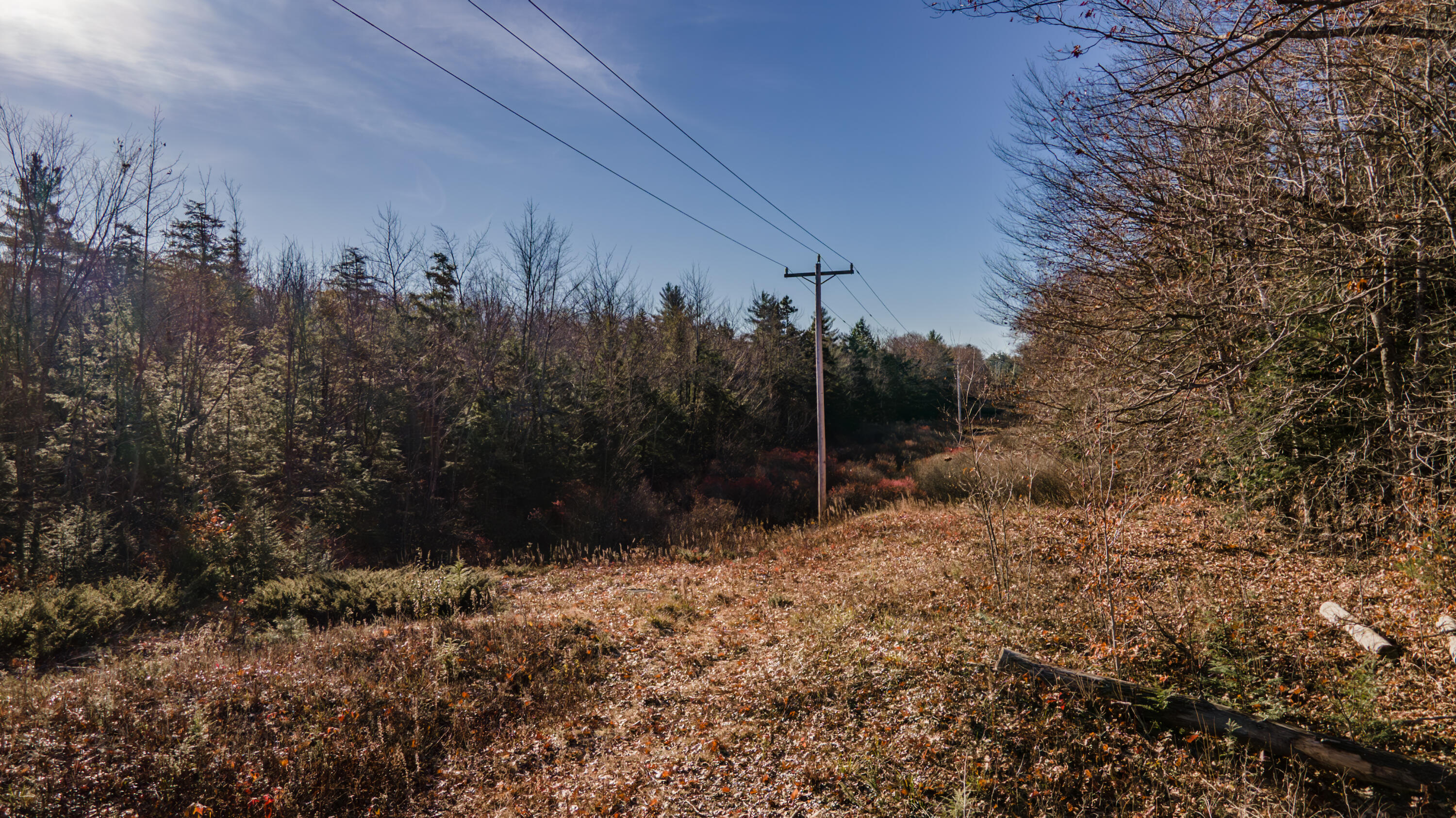 17 Terrapin Trail Sidney, ME 04330 - Photo 13 of 18 Land14