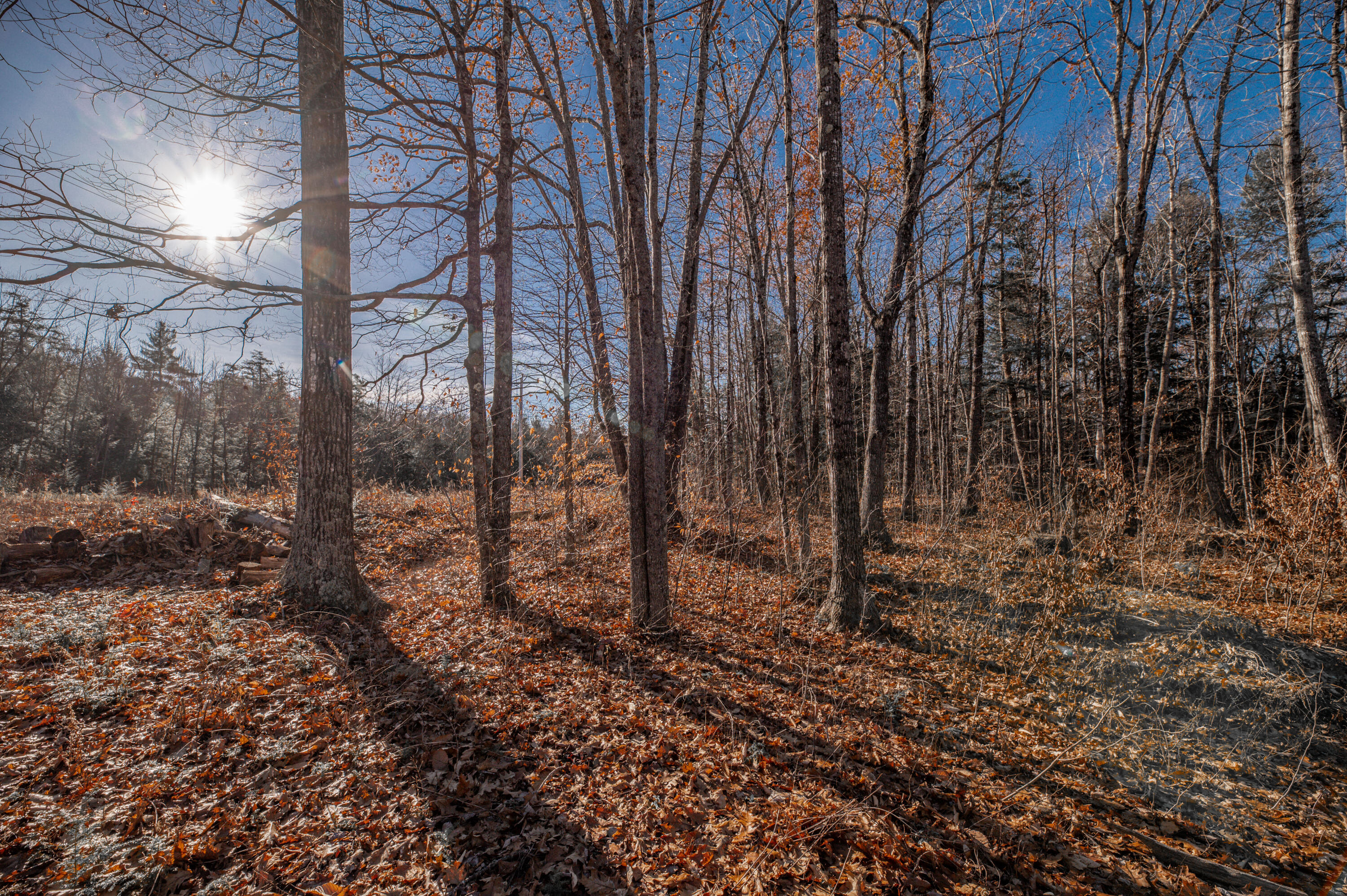 17 Terrapin Trail Sidney, ME 04330 - Photo 14 of 18 Land30