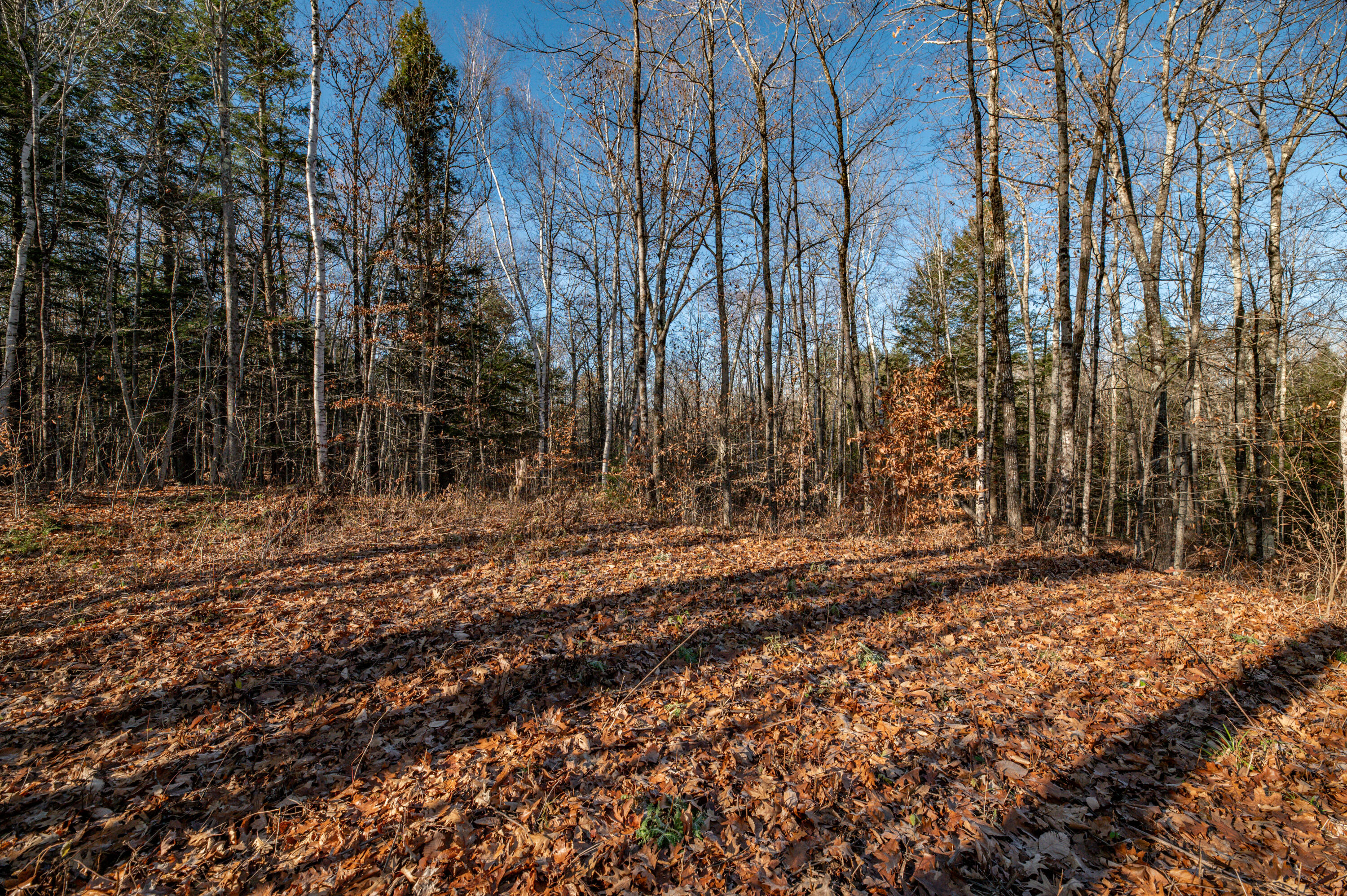 17 Terrapin Trail Sidney, ME 04330 - Photo 15 of 18 Land28