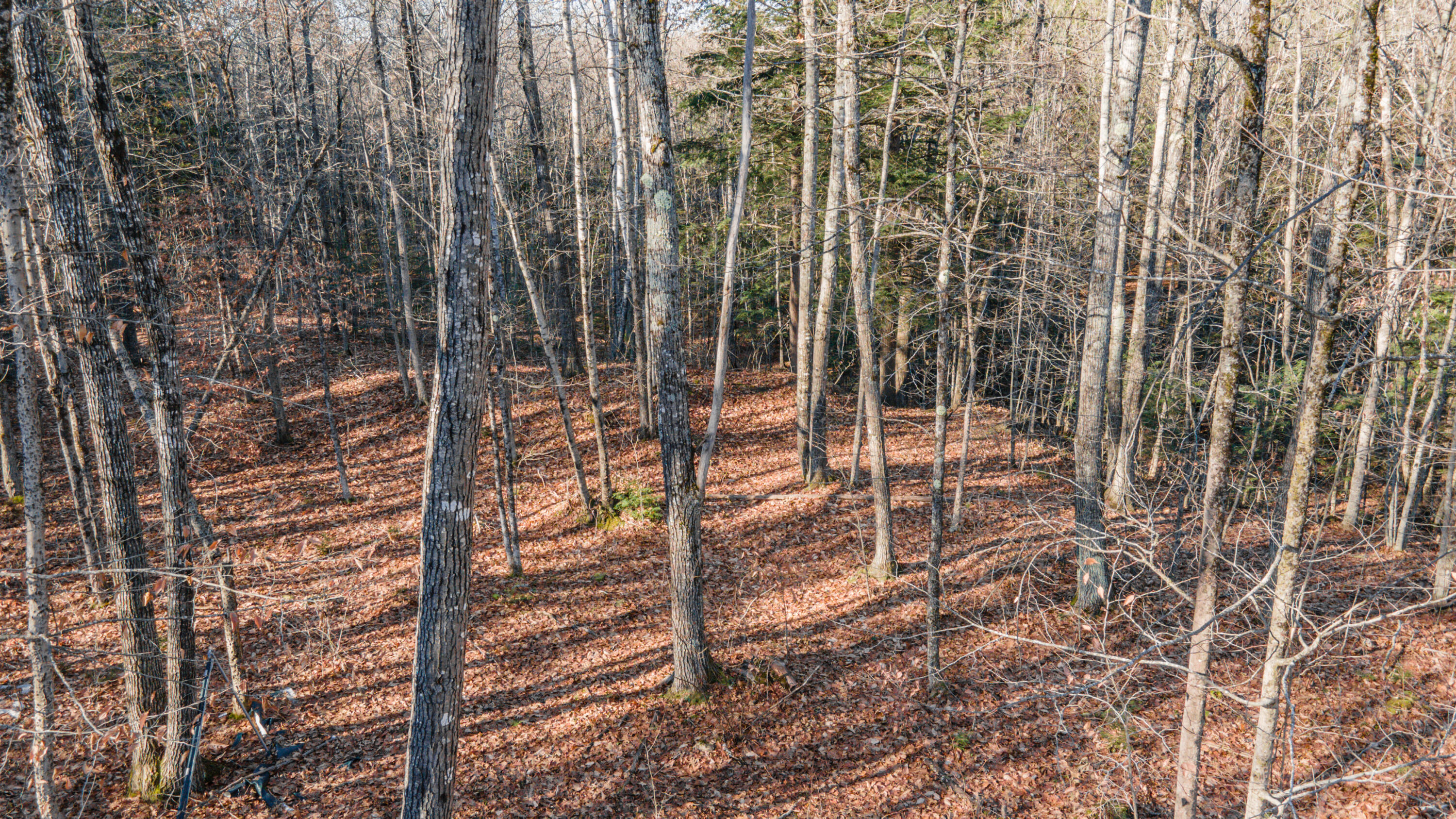 17 Terrapin Trail Sidney, ME 04330 - Photo 10 of 18 Land9