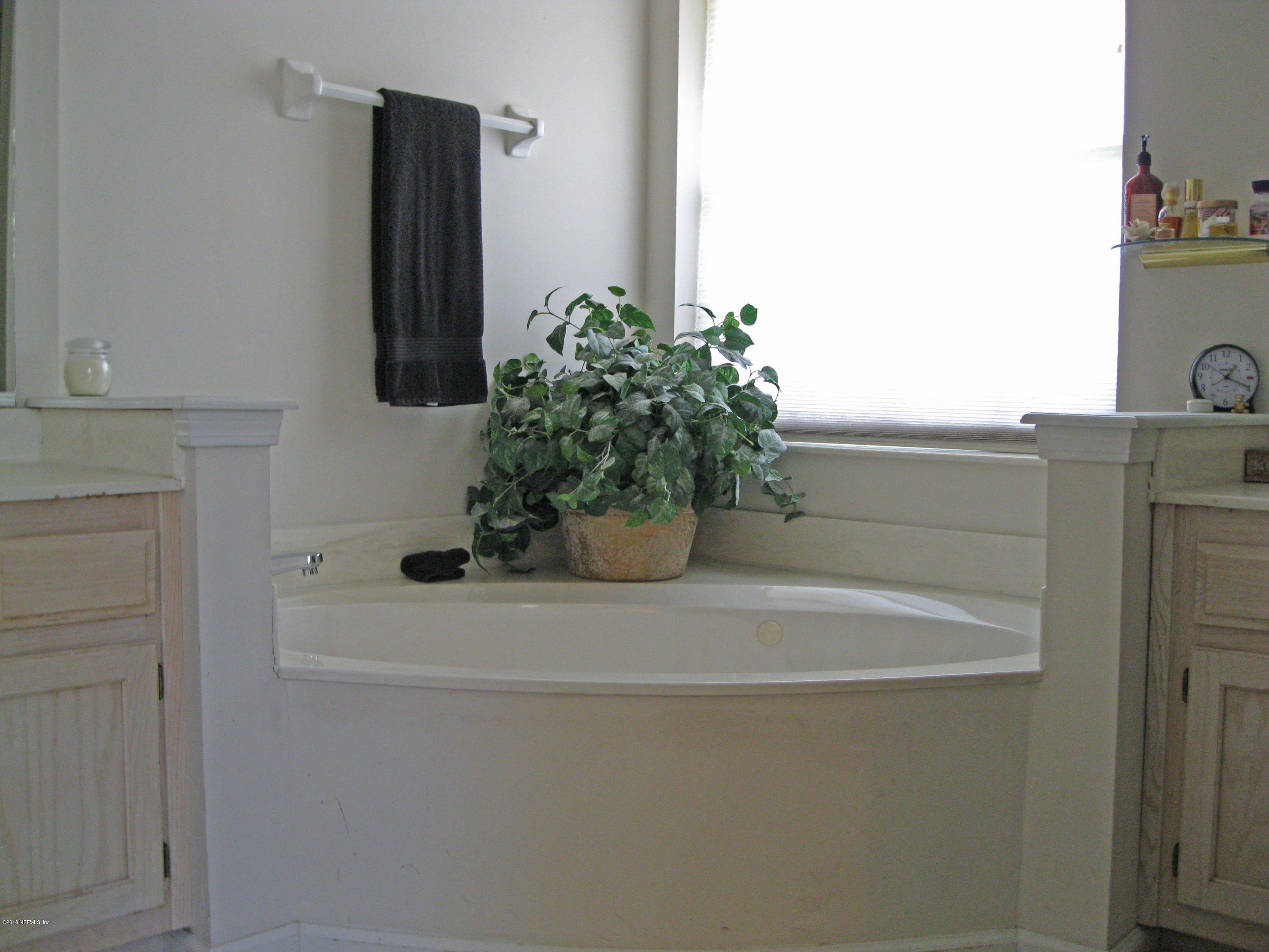 11976 Swooping Willow Road Jacksonville, FL 32223 - Photo 13 of 20 MASTER BATH TUB