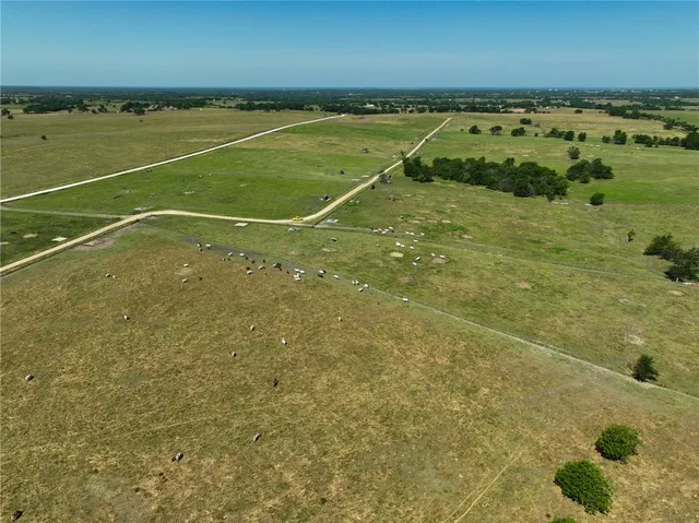 $3,720,000 | 305 County Road 305, Navasota, TX 77868