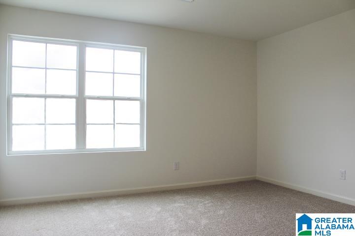 520 Rock Terrace Way Helena, AL 35080 - Photo 35 of 53