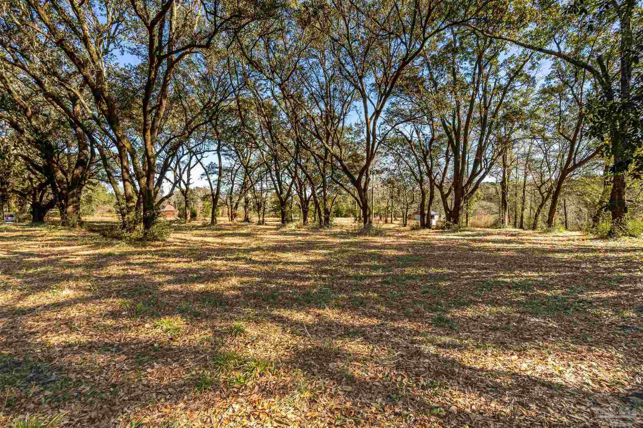 Lot 1 Tidwell Road Pace, FL 32571 - Photo 2 of 11
