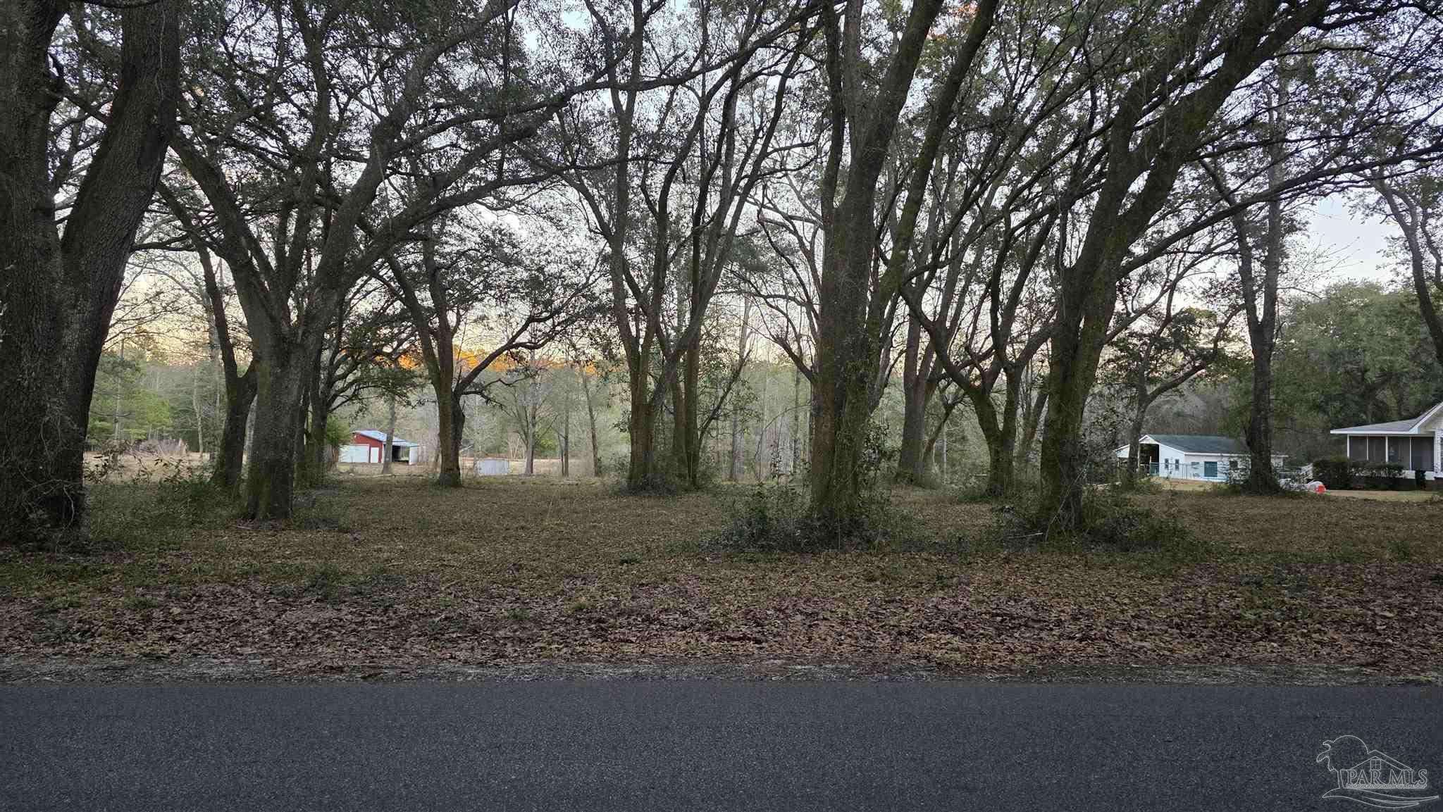 Lot 1 Tidwell Road Pace, FL 32571 - Photo 4 of 11