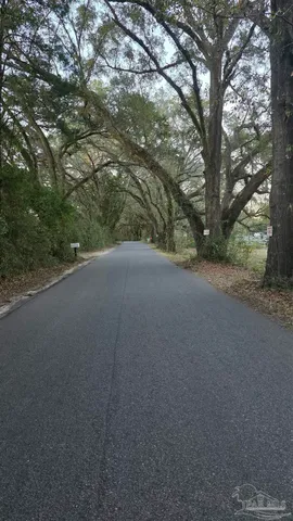a view of a yard with a tree