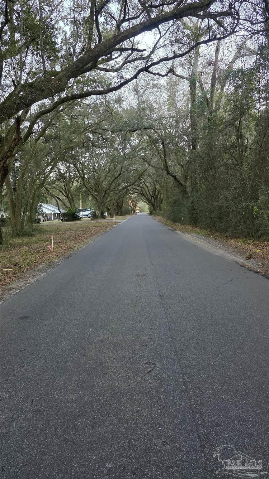 Lot 1 Tidwell Road Pace, FL 32571 - Photo 7 of 11 a view of a yard with a tree