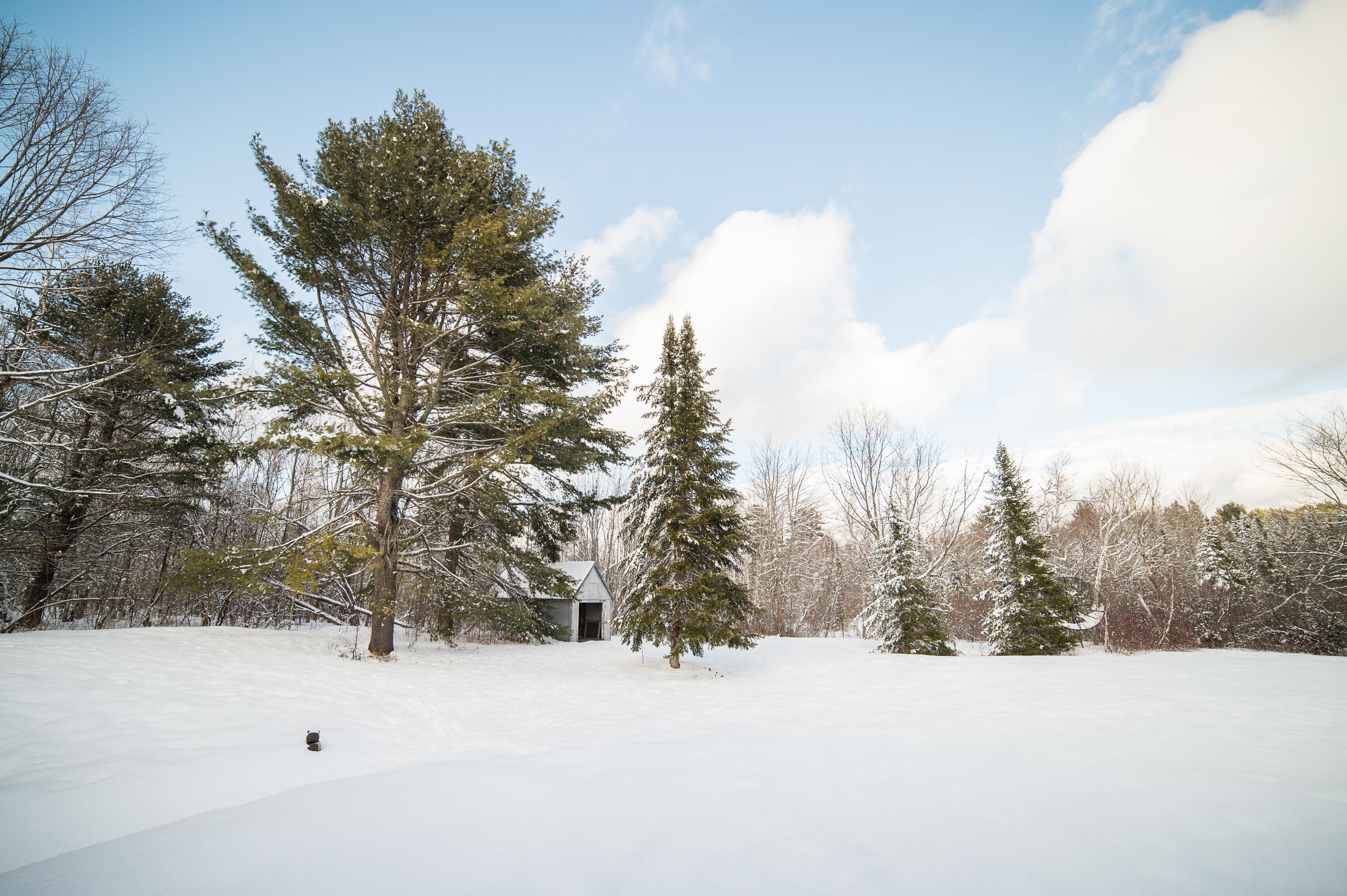 1240 Carmel Road North Hampden, ME 04444 - Photo 31 of 46 dbp-0017