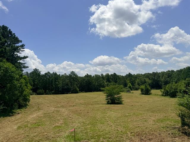 1916 Bayou Maria Road Pineville, LA 71360 - Photo 1 of 5