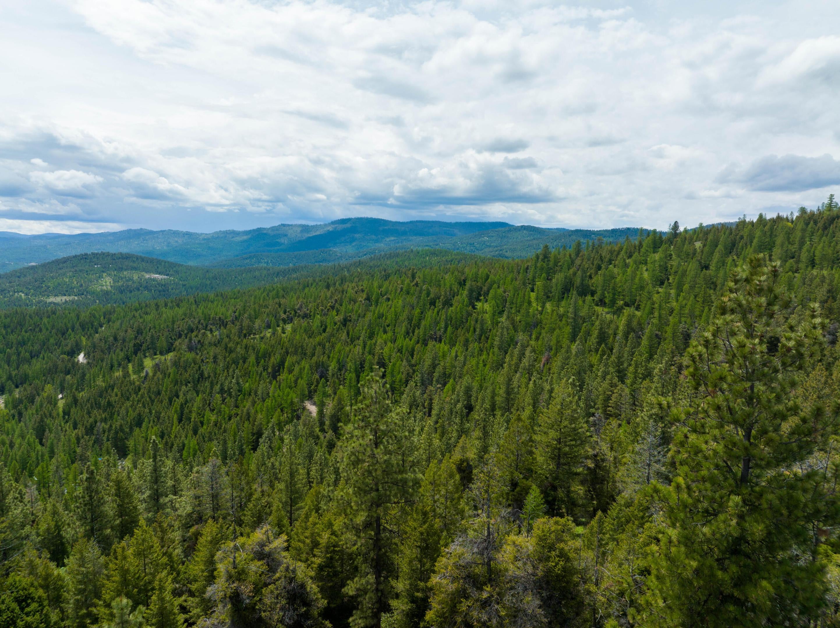 Nhn Copper Road Kalispell, MT 59901 - Photo 11 of 14 Gallery Image 11
