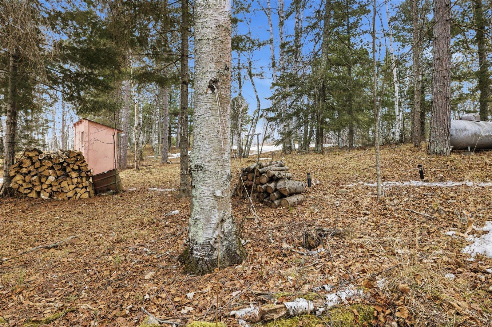 26159 County Road 345 Bigfork, MN 56628 - Photo 38 of 39
