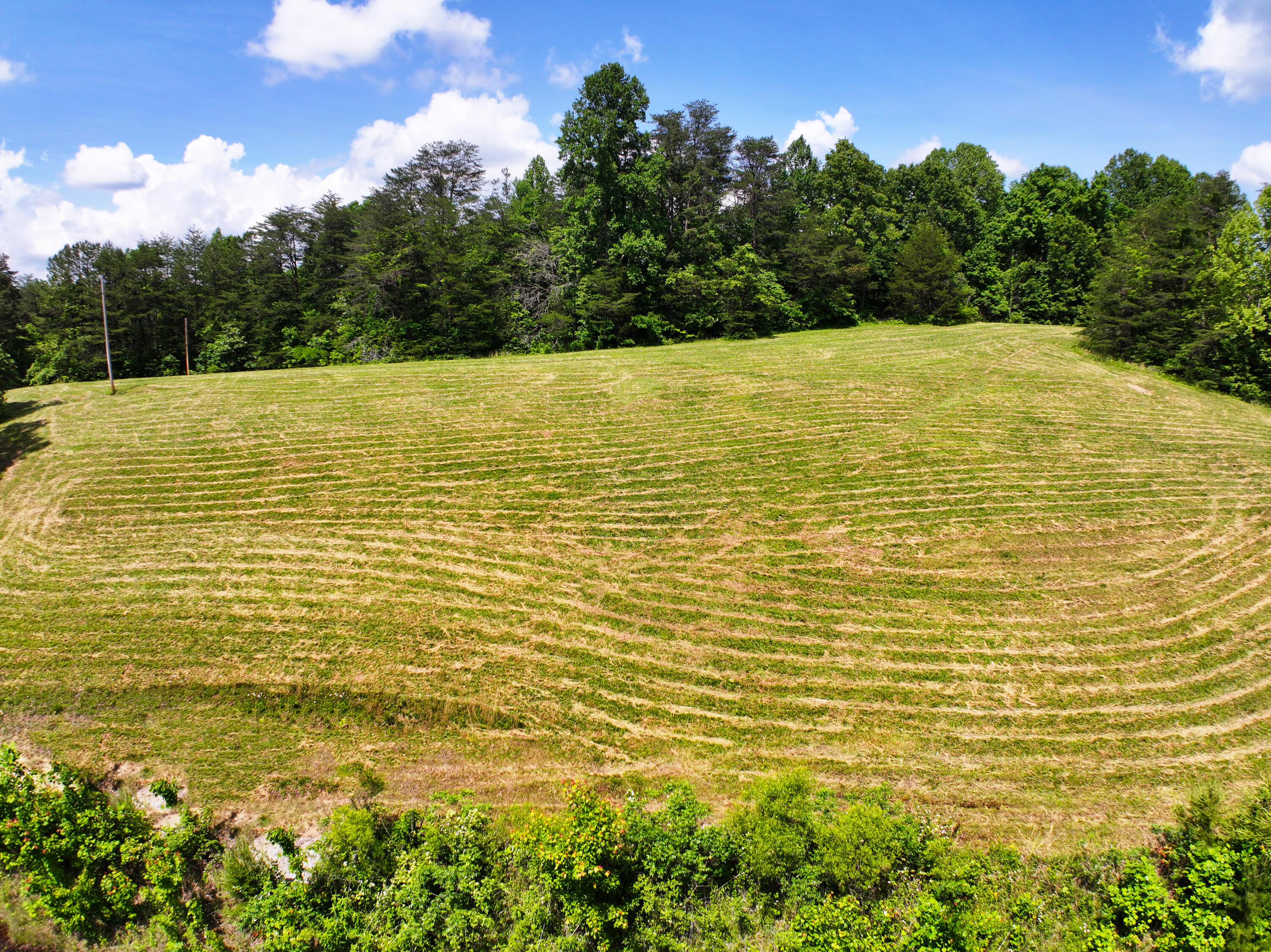 382 Opossum Run Road Irvine, KY 40336 - Photo 67 of 75 Fields of dreams!