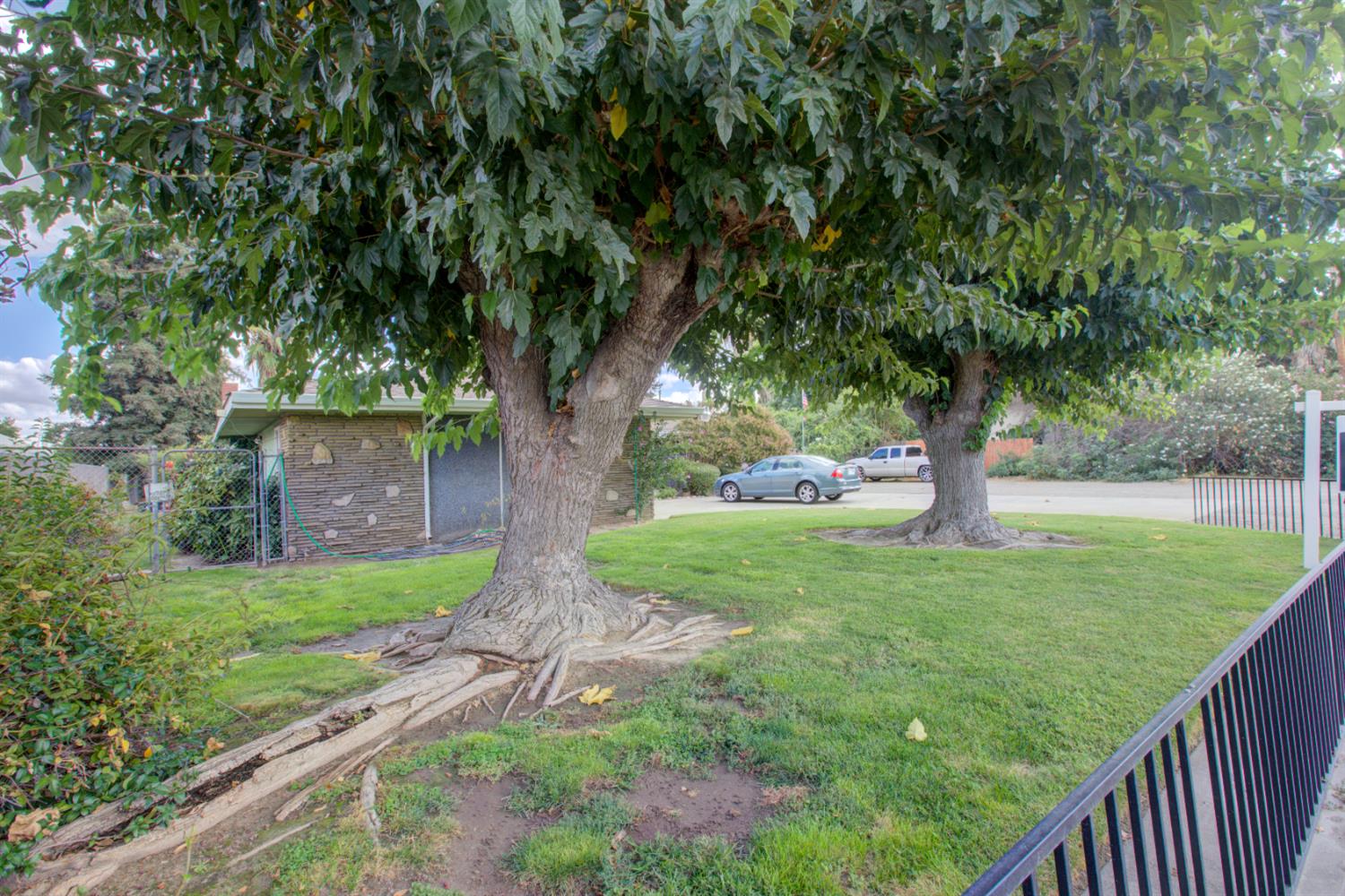 5900 Washington Road Turlock, CA 95382 - Photo 7 of 56 a view of a garden with a tree
