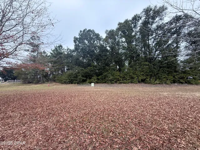 $40,000 | 0 Hwy 90 Sneads, Sneads, FL 32460