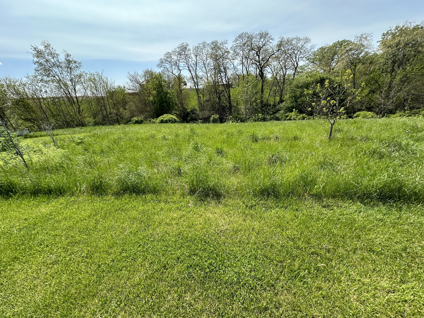 14919 Henry Road Morrison, IL 61270 - Photo 33 of 36 a view of grassy field with trees in the background