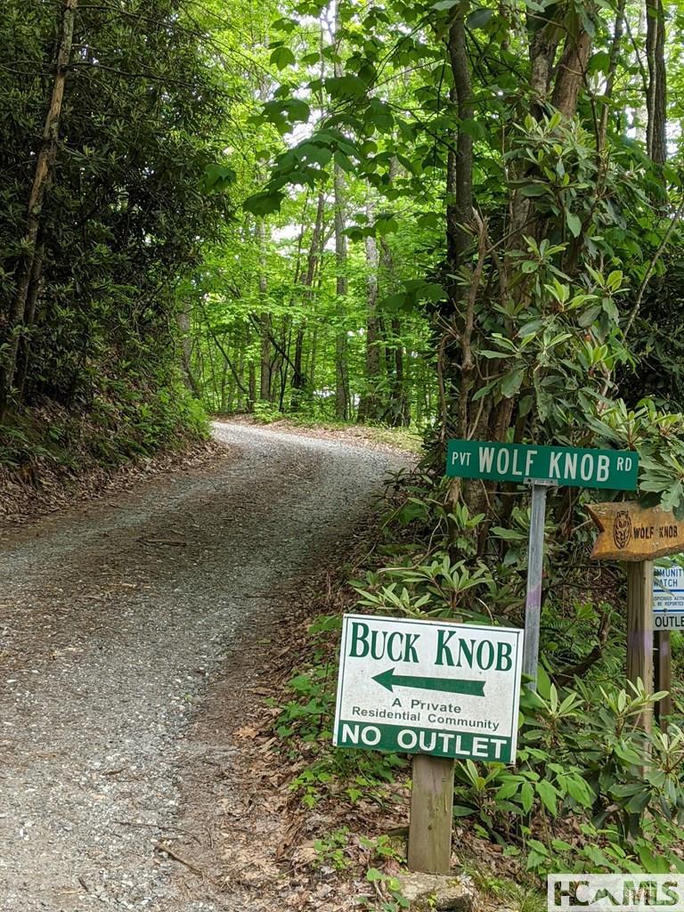 0 Buck Knob Road Cullowhee, NC 28723 - Photo 3 of 9 Gallery Image 3