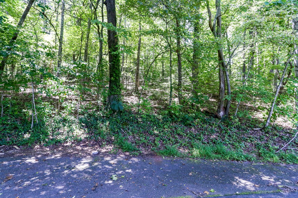Lot 6 Kilpatrick Point Hayesville, NC 28904 - Photo 2 of 4