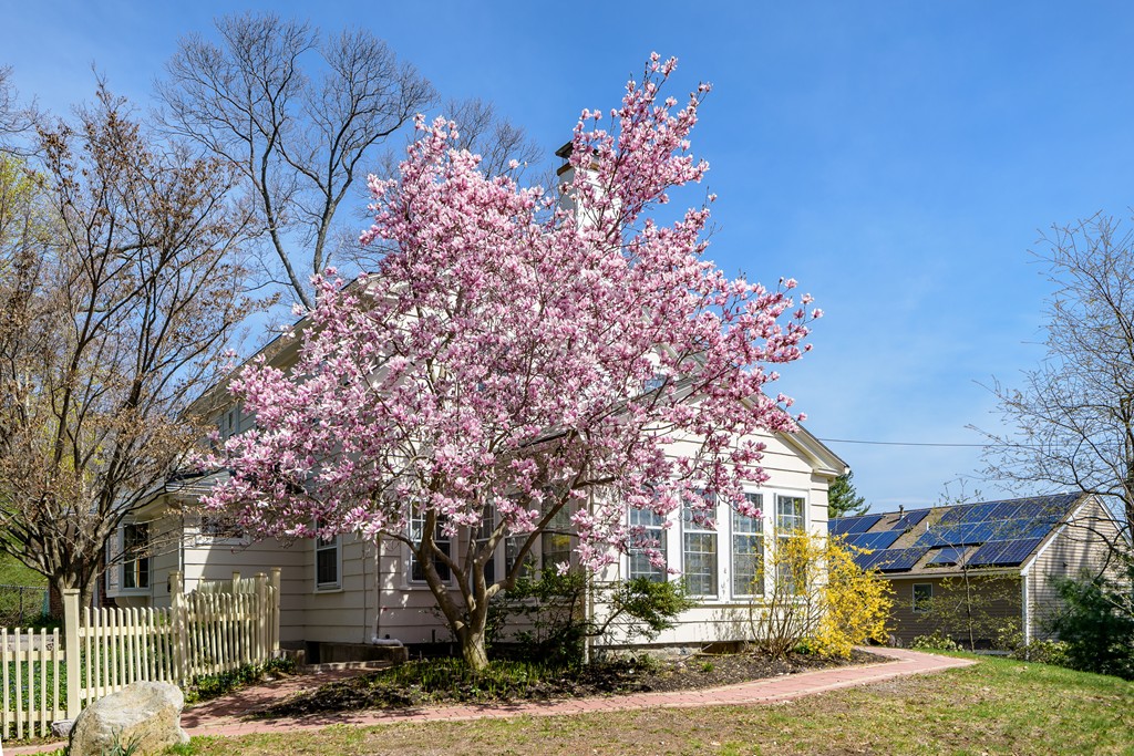 45 Upland Road West Arlington, MA 02474 - Photo 4 of 29