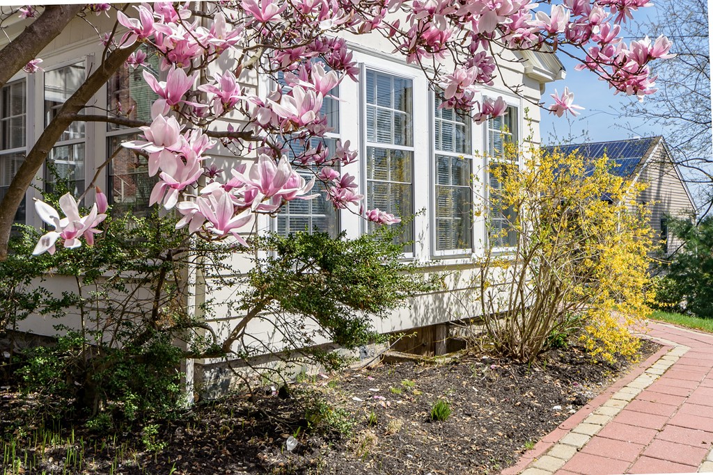 45 Upland Road West Arlington, MA 02474 - Photo 5 of 29