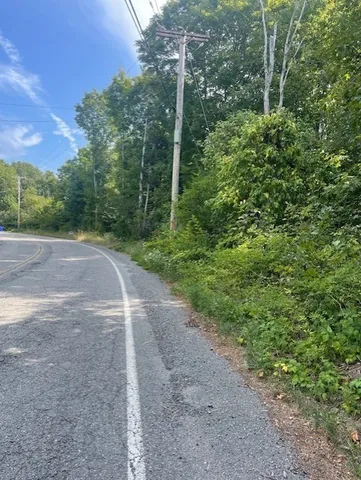 a view of a road with a trees in the background
