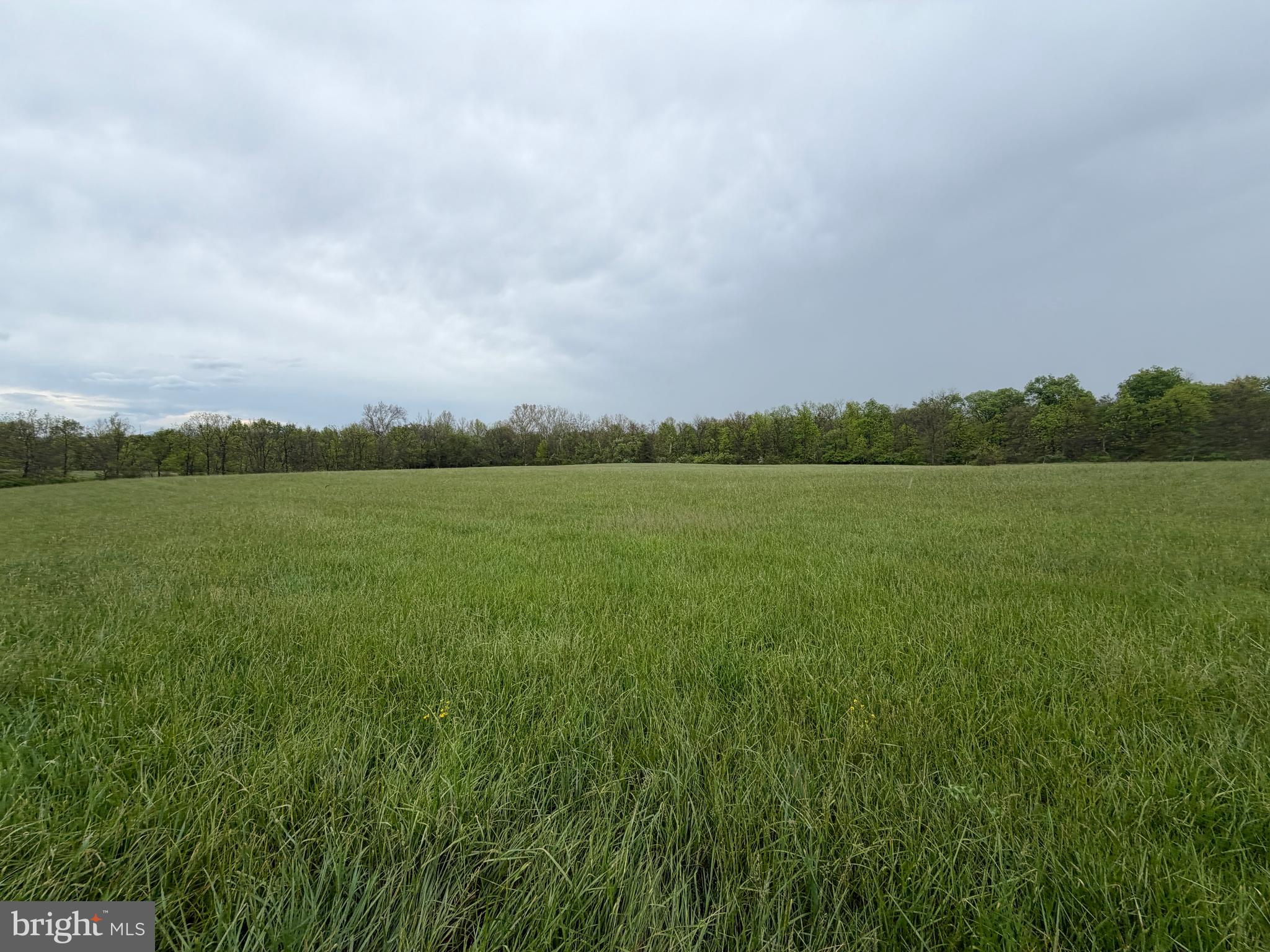 12591 Shimpstown Road Mercersburg, PA 17236 - Photo 34 of 147