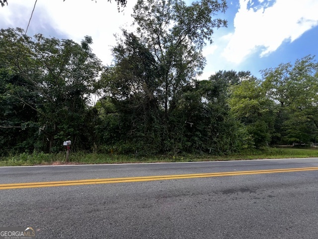 Lot 10 Taylor Mill Road Fort Valley, GA 31030 - Photo 3 of 3