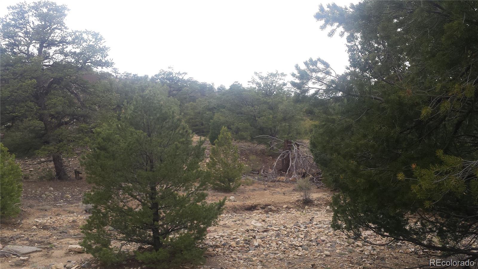 5635 Pinon Rdg Trail Salida, CO 81201 - Photo 11 of 17 a view of a yard with large trees