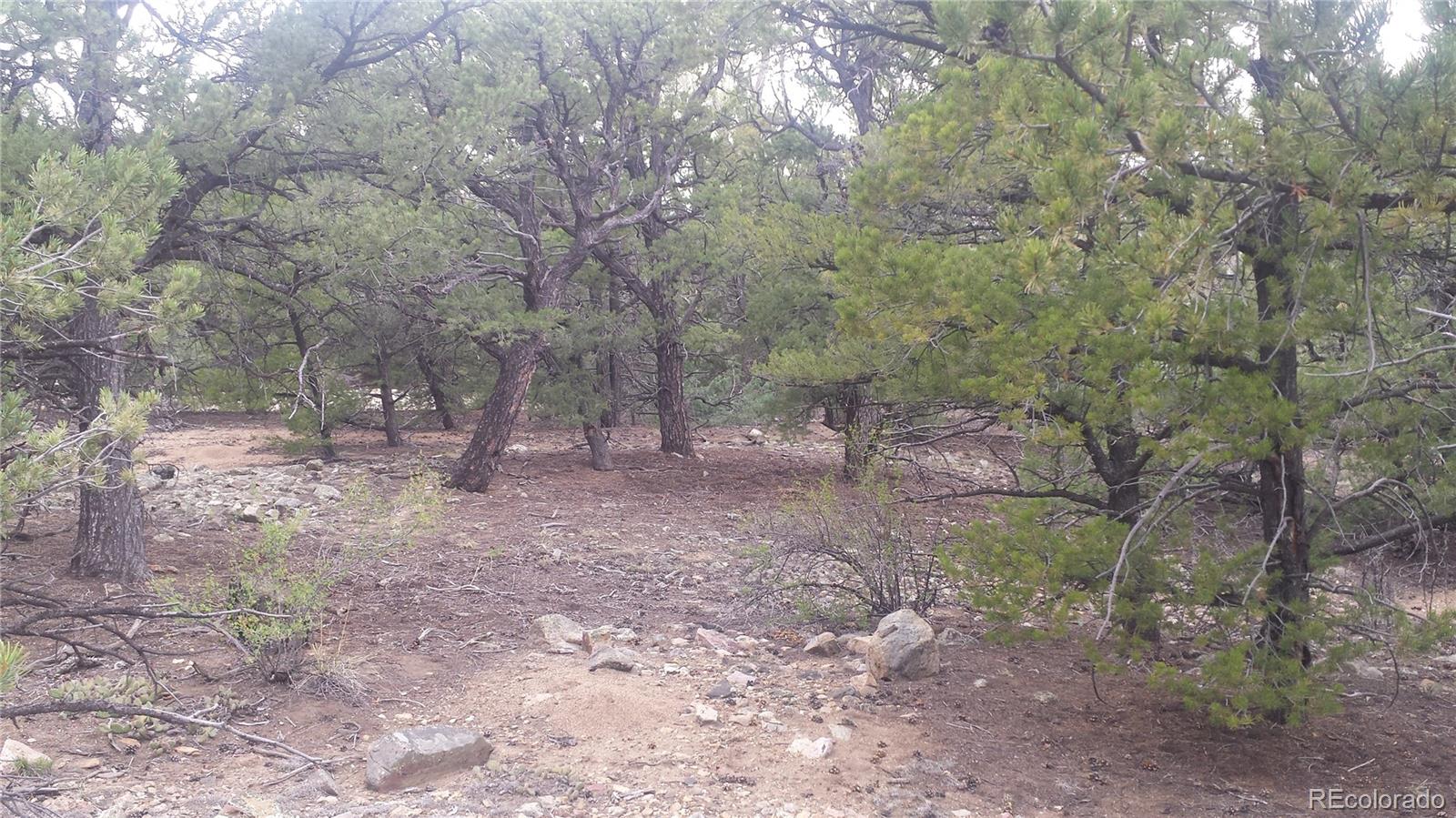 5635 Pinon Rdg Trail Salida, CO 81201 - Photo 13 of 17 a view of outdoor space with trees