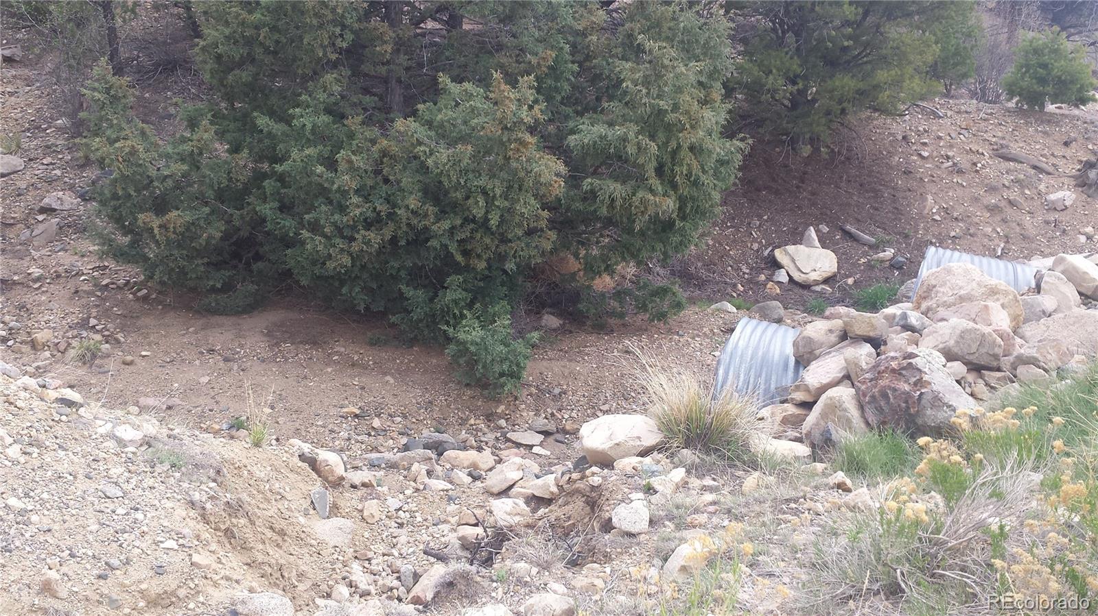 5635 Pinon Rdg Trail Salida, CO 81201 - Photo 14 of 17 a view of a tree with a yard