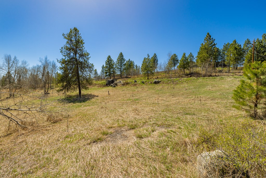 Tbd Morell Road McCall, ID 83638 - Photo 10 of 22