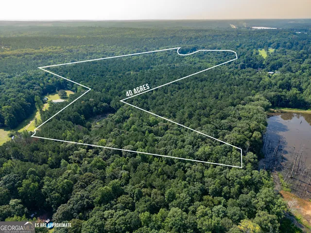 a backyard of a house with a yard and large trees