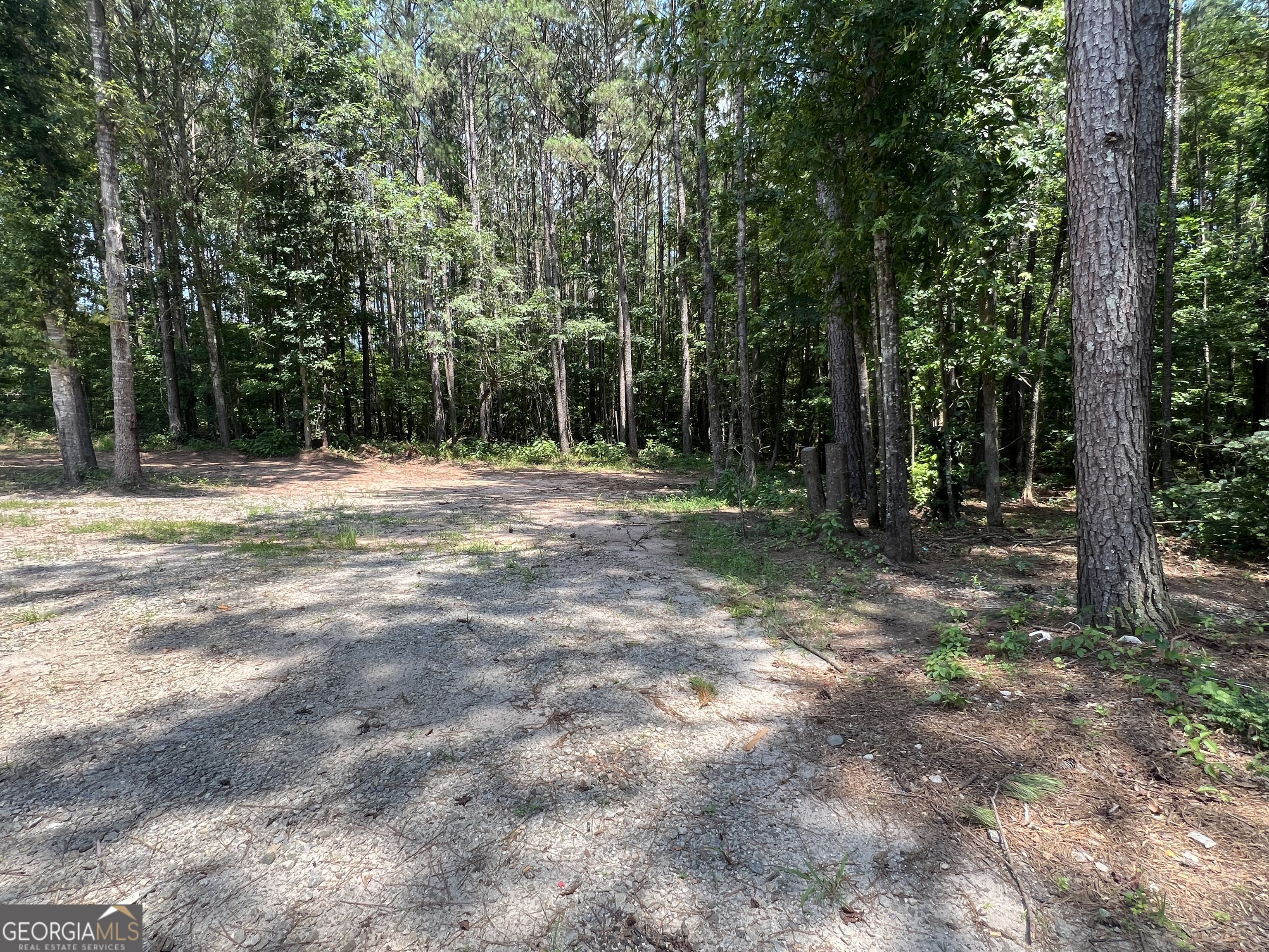 905 Natures Trail Forsyth, GA 31029 - Photo 55 of 59 a view of outdoor space with trees all around
