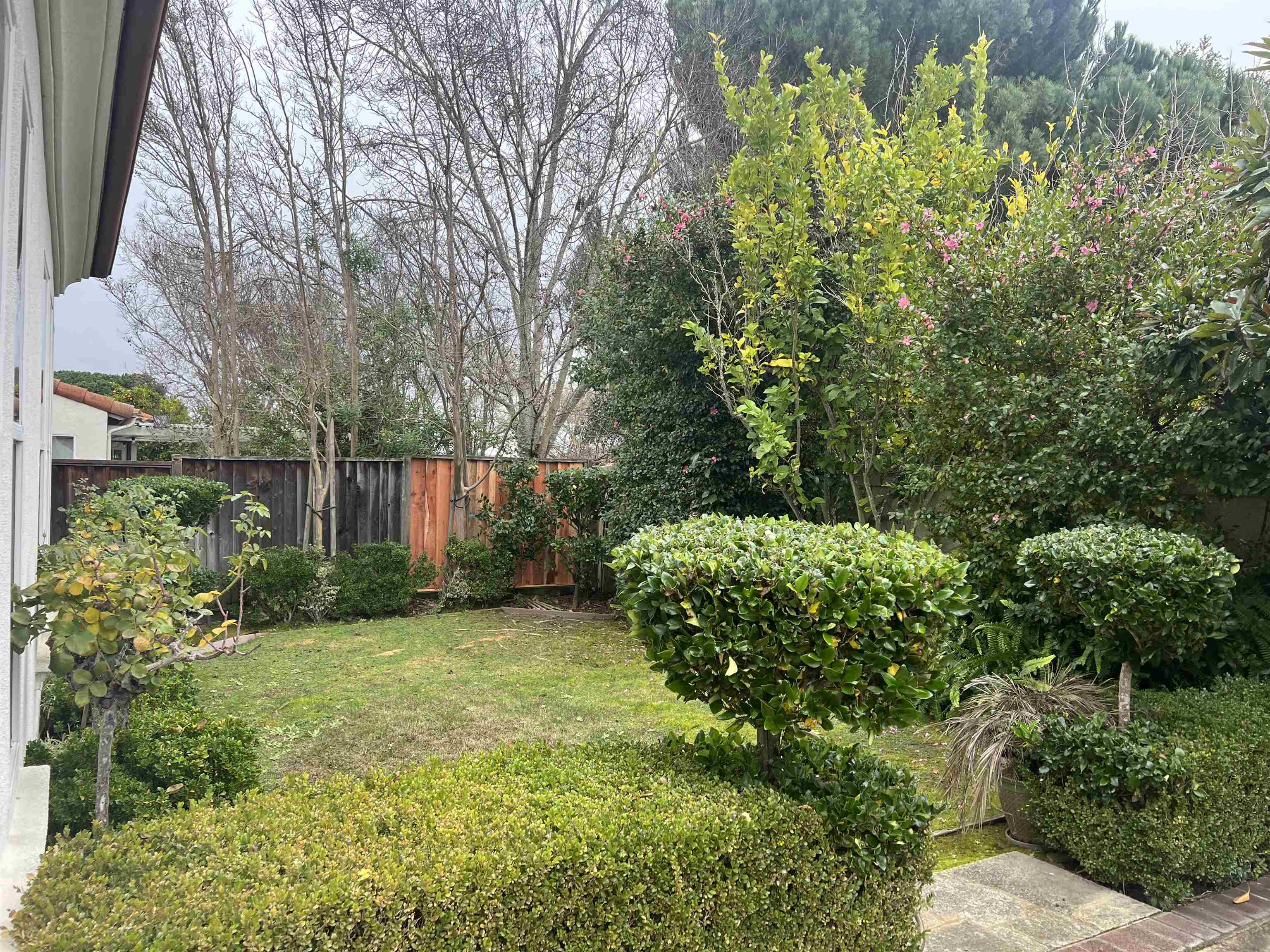 2133 Watercress Place San Ramon, CA 94582 - Photo 16 of 21 a view of a back yard