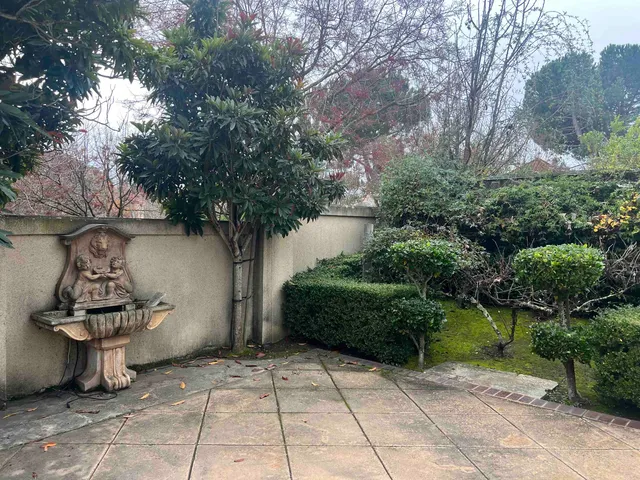 a view of a bench in backyard