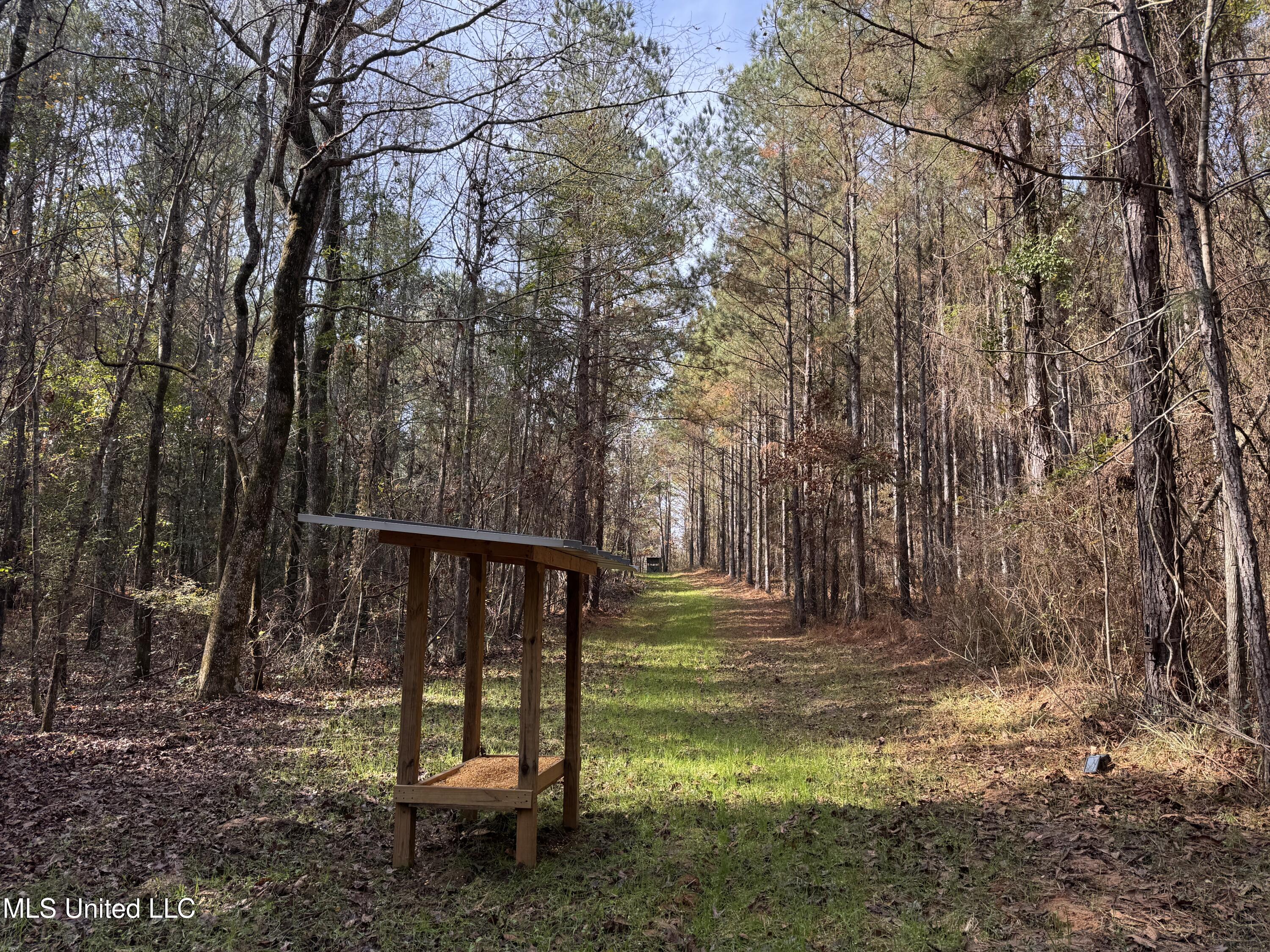 4 Whiddon Road Canton, MS 39046 - Photo 22 of 45 IMG_1626