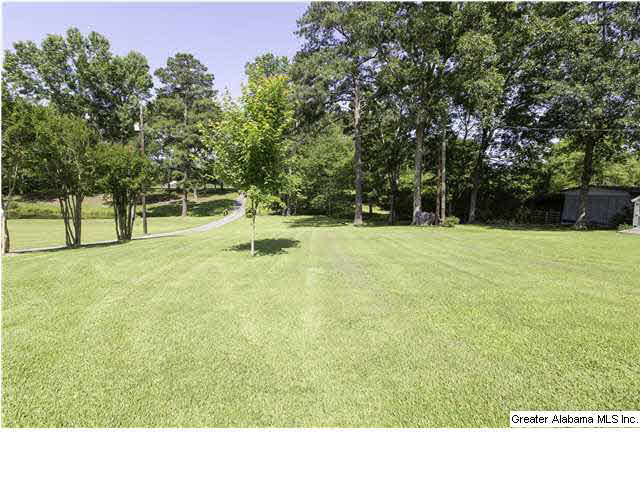 1414 Downs Road Mount Olive, AL 35117 - Photo 29 of 29