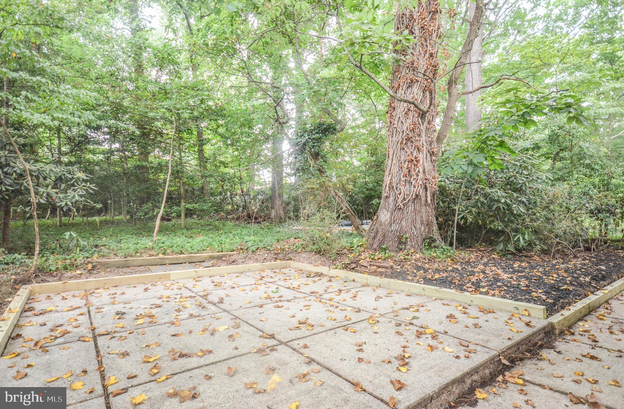 11538 Highview Avenue Silver Spring, MD 20902 - Photo 36 of 45