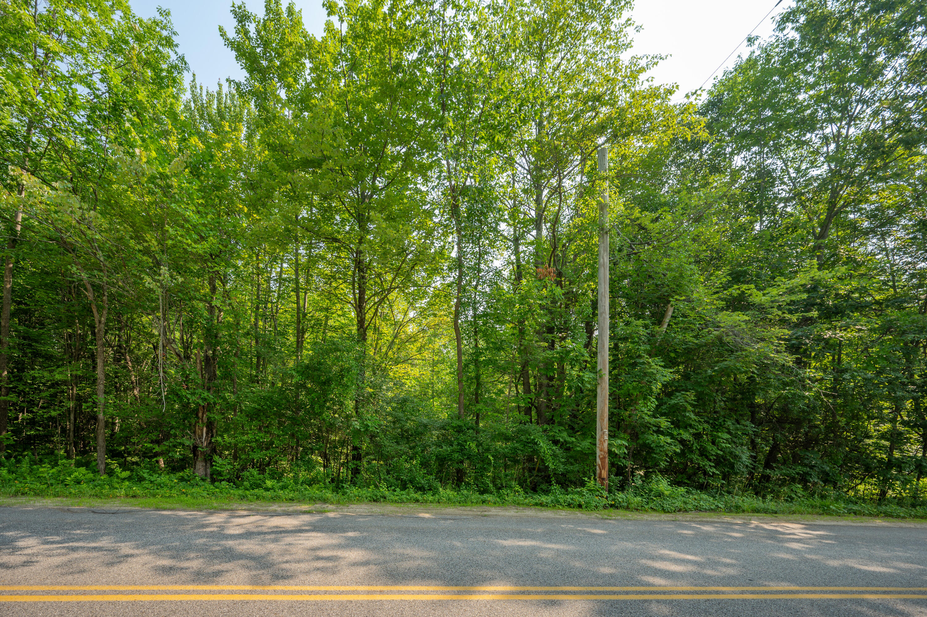 Lot #0 Heath Road Casco, ME 04015 - Photo 4 of 14 Heath Road new lot-03