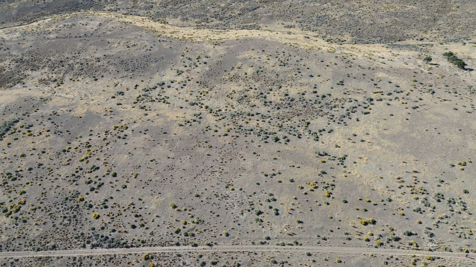 37 Geranium Street Elko, NV 89801 - Photo 10 of 18