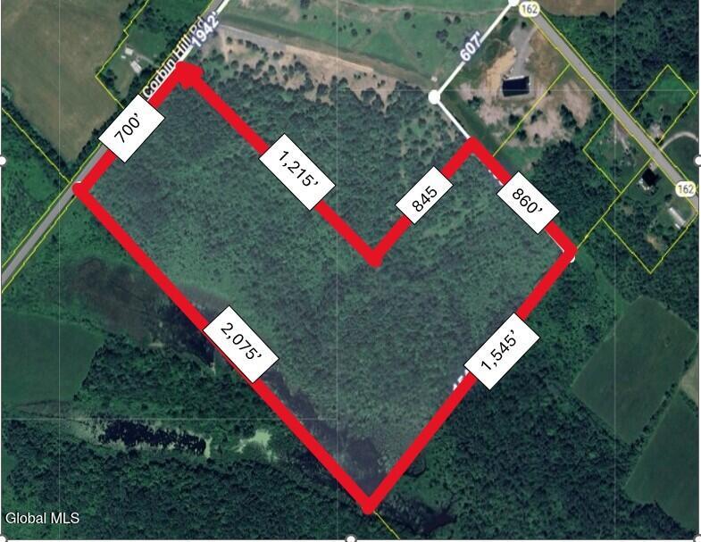 811 Corbin Hill Road Charleston, NY 12166 - Photo 2 of 5 mls 50 acre 2