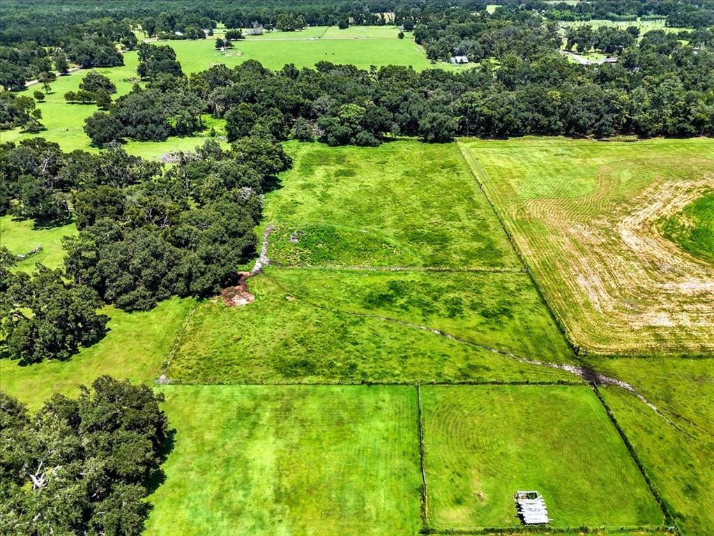 39410 Sparkman Road Dade City, FL 33525 - Photo 15 of 26