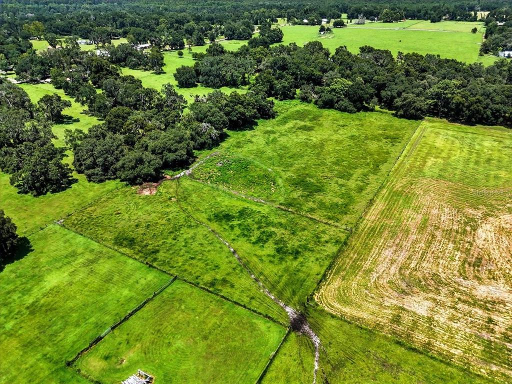 39410 Sparkman Road Dade City, FL 33525 - Photo 18 of 26