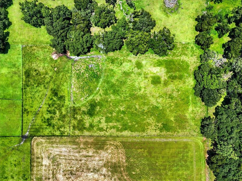 39410 Sparkman Road Dade City, FL 33525 - Photo 21 of 26